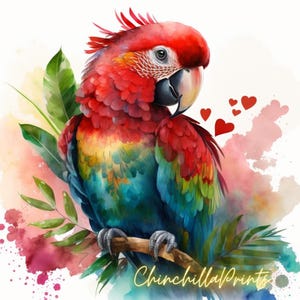 Watercolor Parrot Print Set: Colorful Cockatoo Illustration (Digital Download)
