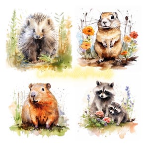 May include: Watercolor illustrations of four different animals: a hedgehog, a prairie dog, a beaver, and a raccoon with a baby raccoon. The animals are surrounded by flowers and grass. The text "ChinchillaPrints" is written in a yellow cursive font.