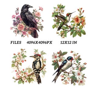 May include: Four detailed illustrations of birds with floral arrangements. A black raven, a hummingbird, a woodpecker, and a swallow are depicted. The image includes the text "FILES 4096X4096PX 12X12 IN".