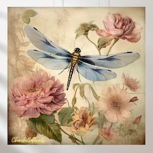 Conjunto de 5 estilos de libélulas Shabby Chic em flor, arte de libélulas, pintura de libélulas vintage, presente para amantes de libélulas
