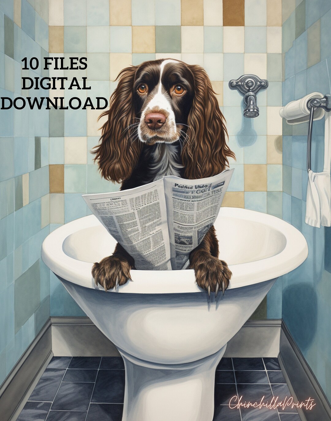 Springer Spaniel Springer Spaniel Sitting on the Toilet Springer