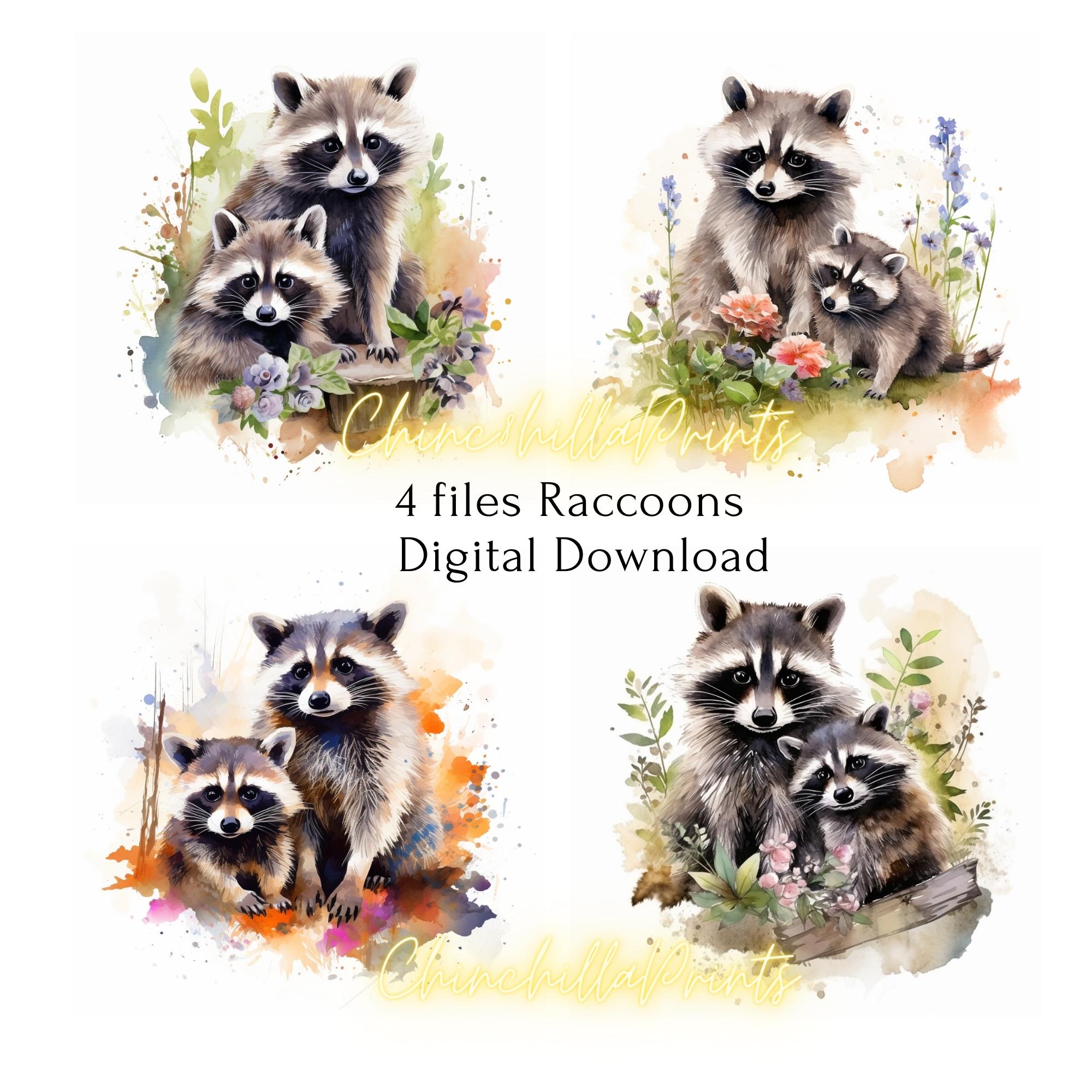 Set of 40 Watercolor Rodent Clipart: Raccoon, Mouse Drawings (JPG Files ...