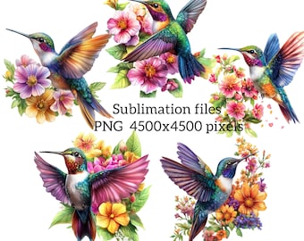 Hummingbird PNG Files For Sublimation Hummingbird Clipart Bird Art Transparent Background
