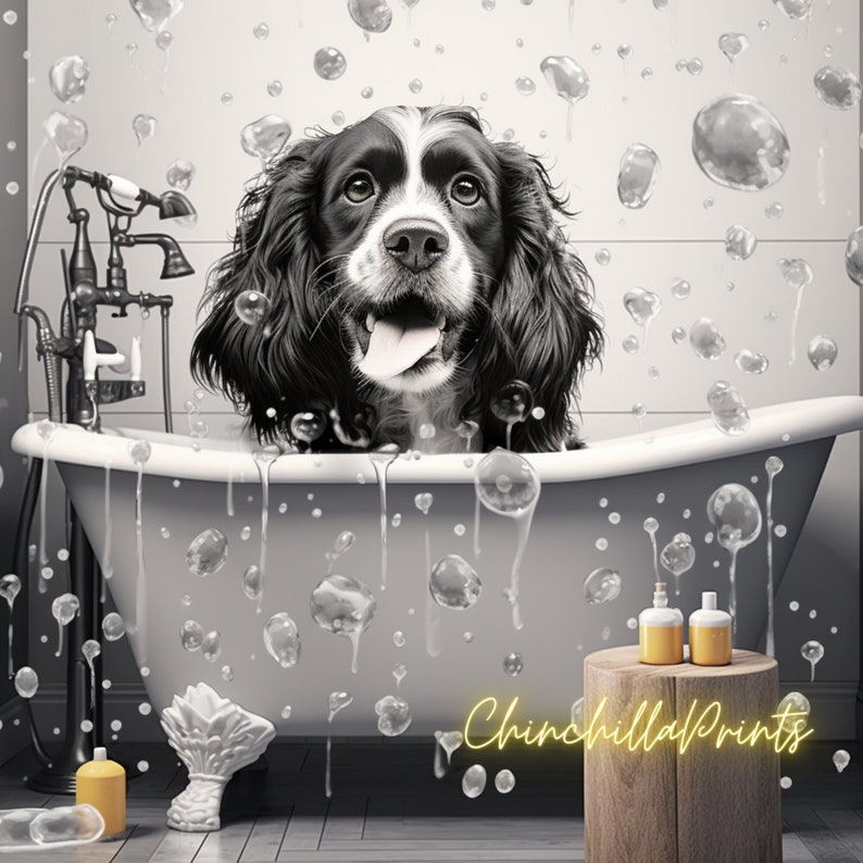 Springer Spaniel Springer Spaniel Sitting on the Toilet Springer
