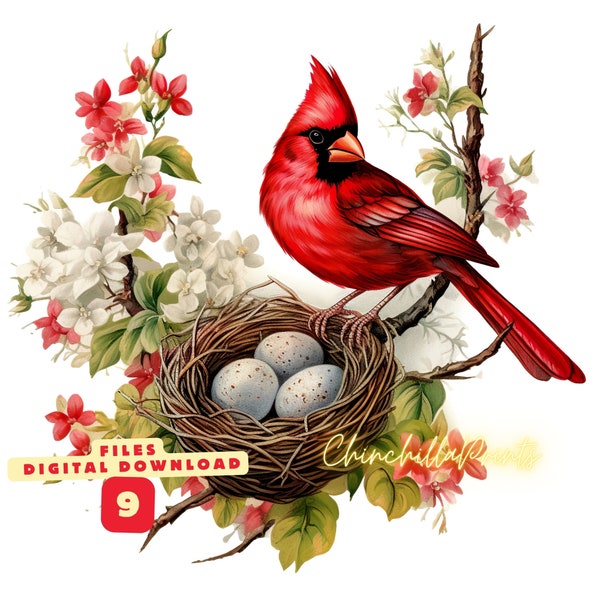 Red Cardinal in Nest Clipart Set - 9 watercolor images, digital - Set of 9.