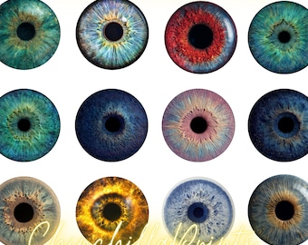 45mm 40mm 30mm 25mm Snowy Owl Eyes Digital Collage Sheet: Round Cabochon Images