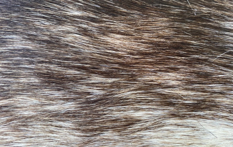 Custom Branded Cowhide Buckle Etsy