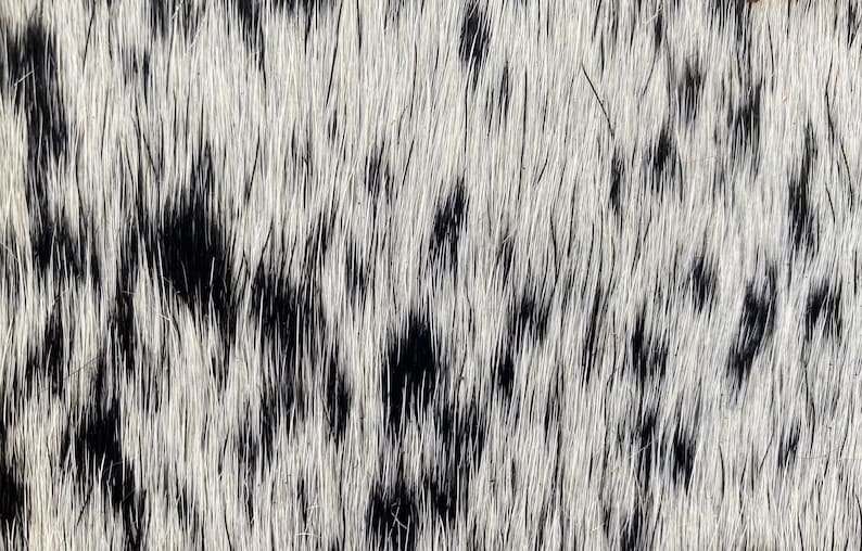 Custom Branded Cowhide Buckle Etsy