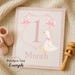 Goose Crest Pink Gingham Bow Frame Clipart Png Bundle, Coquette Bows ...