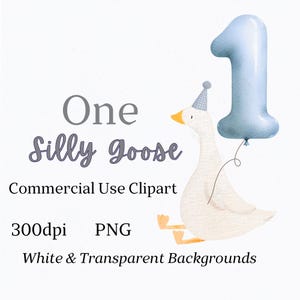 Silly Goose PNG, Boys First Birthday Goose Party Clipart, Printable Funny Goose wearing a Party Hat, number one balloon Cute commercial dtf