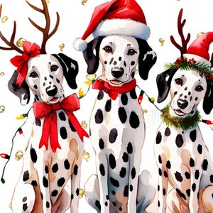 Weihnachts-Dalmatiner PNG, Weihnachtshundepullover Druckbare Sublimationsdatei, Weihnachtslichter-T-Stück, Dalmatiner-Mama, Hunde-Shirt für Frauen Digital