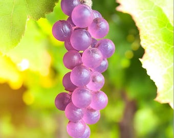 May include: A bunch of translucent purple grapes, held by a natural fiber string, hangs against a blurred background of green leaves and sunlight. The grapes are round and appear to be made of a gel-like substance.