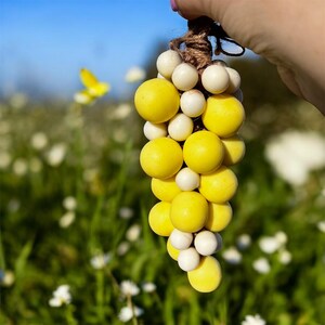 Grape vine  Soap: yellow and white   Scented Shea   Soap