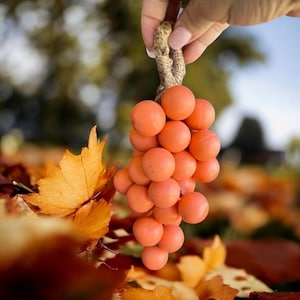 Grape Vine Soap: Cinnamon Orange Scented Decorative Soap