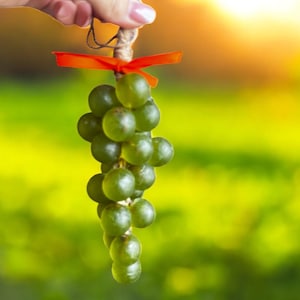 Grape Vine Soap: Decorative Kitchen Accent