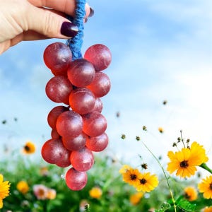 Weinrebenseife: Bubblegum Scented Glycerin Soap