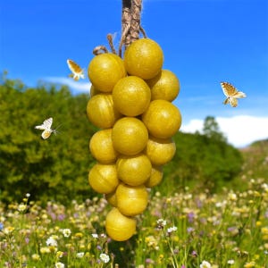 Puede incluir: Un racimo de objetos esféricos amarillos, parecidos a uvas, cuelga de una cuerda marrón sobre un fondo de cielo azul y follaje verde. Mariposas con alas blancas y marrones revolotean alrededor del racimo, añadiendo un toque natural.