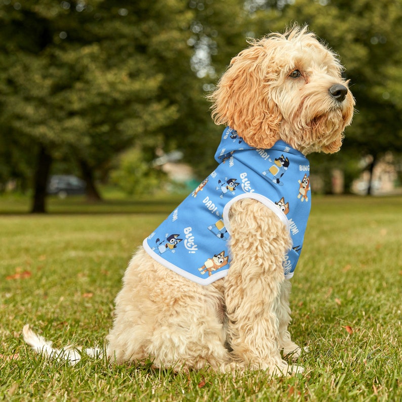 Explore Pet Clothing & Accessories