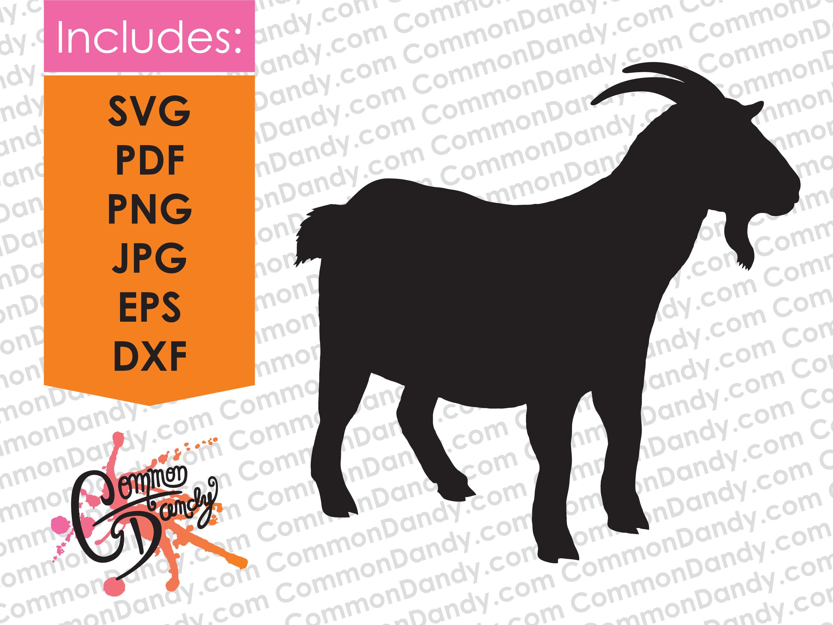 The Ultimate Guide To Pygmy Goat Lifespan And Health - isgh94f