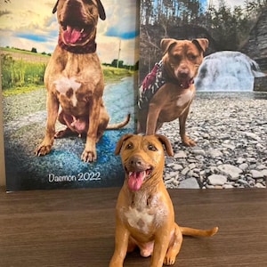 Custom Pet Portrait, Pet Memorial Sculpture
