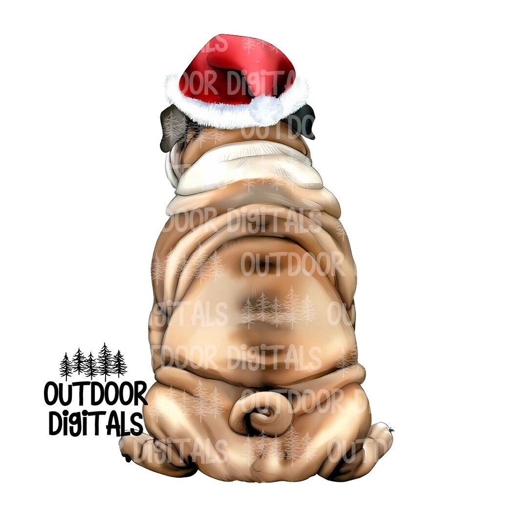 English Bulldog Santa PNG, Watercolor Bulldog PNG, Christmas Bulldog