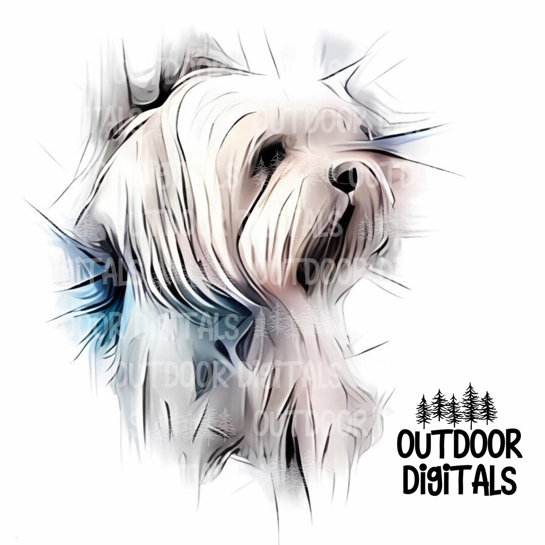 Maltese PNG, Abstract Sketch Maltese, Maltese Wall & Nursery Art