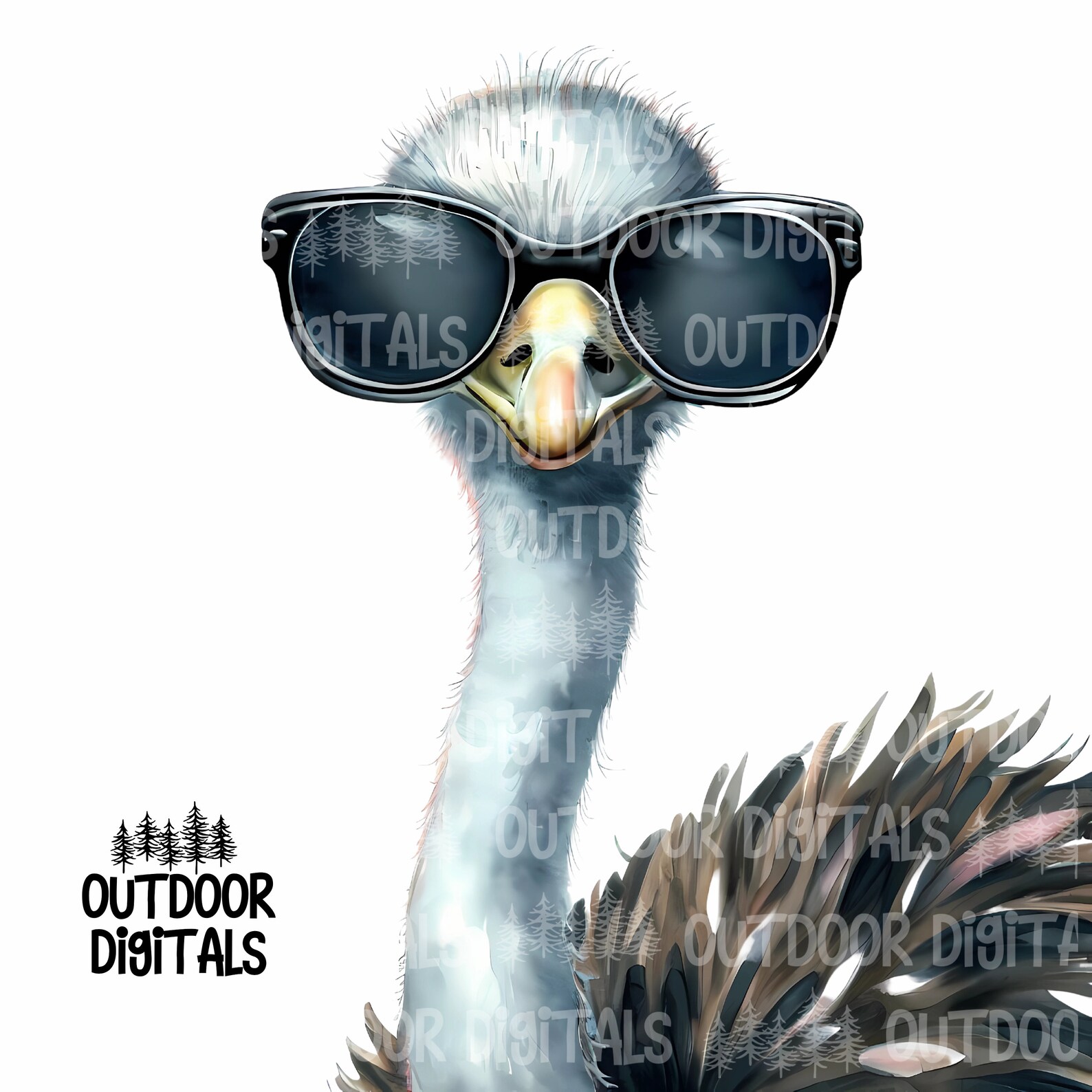 Funny Ostrich PNG Watercolor Ostrich Clip Art Ostrich Wall Etsy
