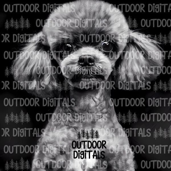 Toy Poodle PNG, Oil Painting Toy Poodle, Black & White Toy Poodle Wall Art, Toy Poodle Sublimation, Commercial Use Toy Poodle