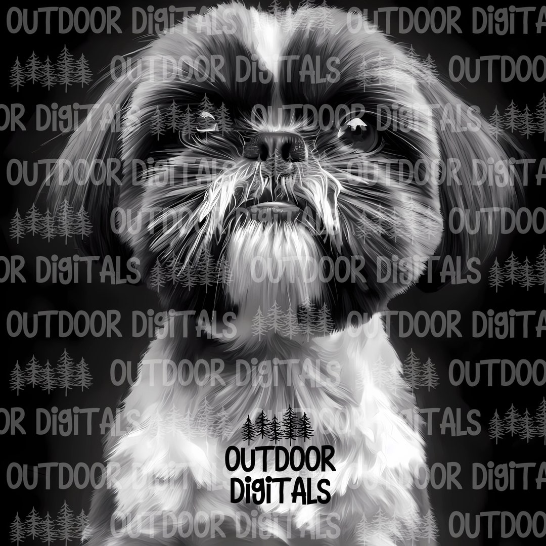 Shih Tzu PNG Oil Painting Shih Tzu Black & White Shih Tzu Etsy