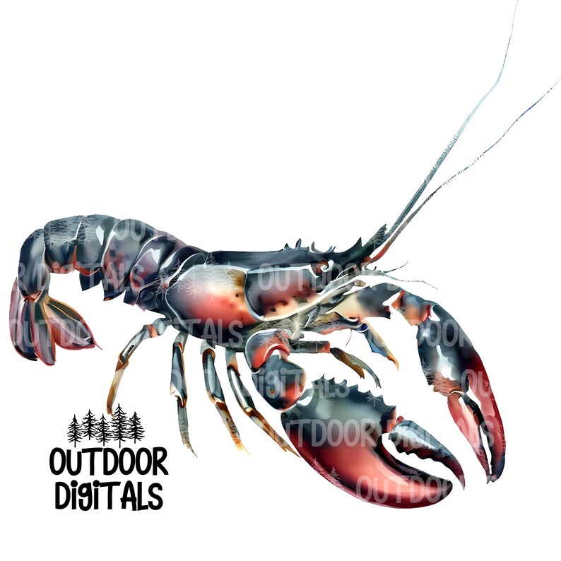 Lobster PNG, Watercolor Lobster Clipart, Lobster Wall & Nursery Art