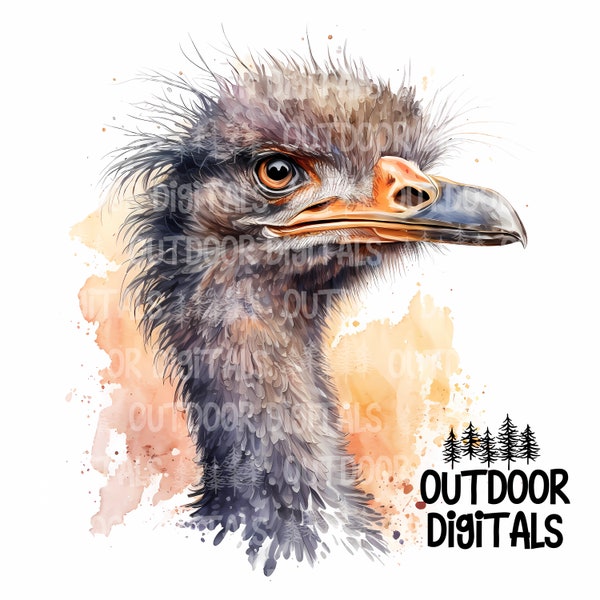 Ostrich PNG, Watercolor Ostrich Clipart, Ostrich Wall Art, Ostrich Nursery Art, Ostrich Sublimation PNG, Commercial Use Ostrich Graphics