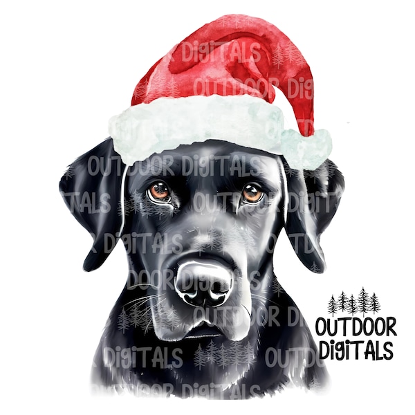 Black Lab Santa PNG, Watercolor Black Lab PNG, Black Lab Art, Black Lab Sublimation, Commercial Use Black Lab Graphics, Santa Black Lab