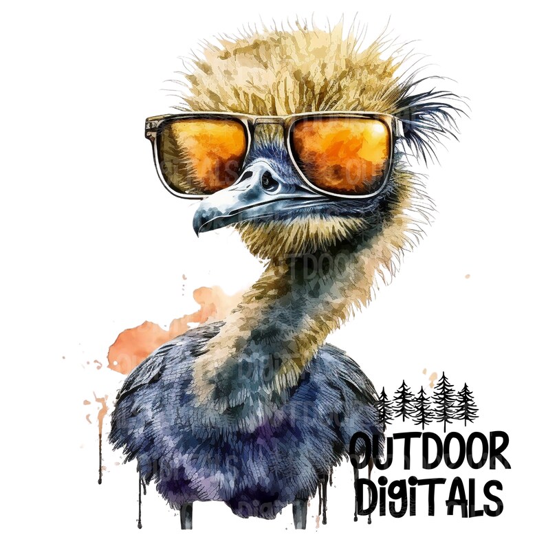 Funny Ostrich PNG Watercolor Ostrich Clip Art Ostrich Wall Etsy