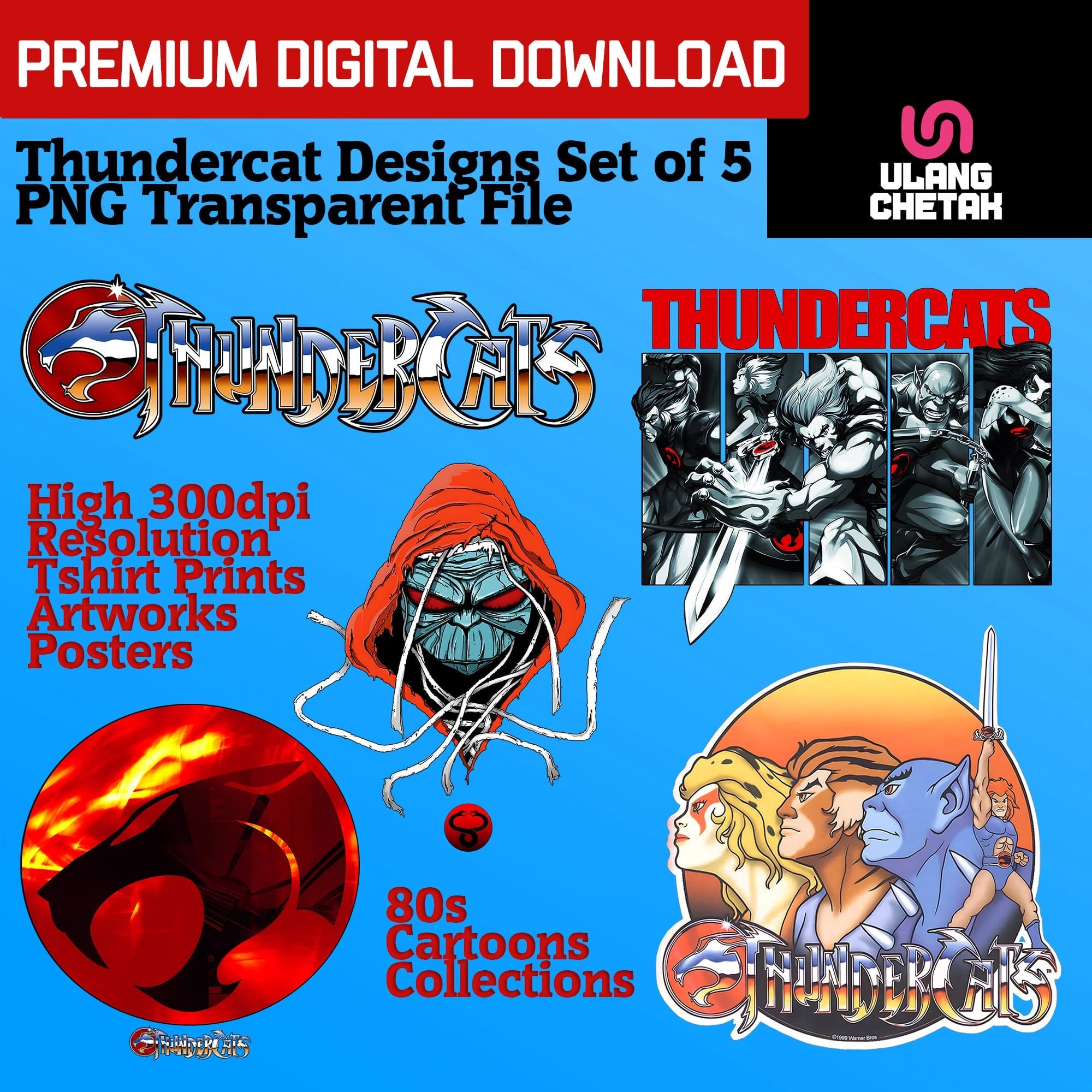 Set of 5 Thundercats 80s Cartoon Design Download Print Digital - Etsy Set of 5 Thundercats 80s Cartoon Design Download Print Digital - Etsy