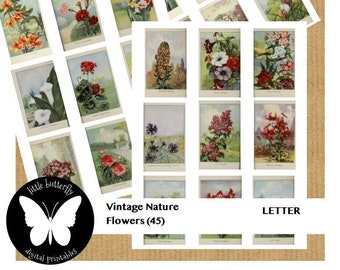 Digital Vintage Nature Flowers- Scrapbooking, Printable Junk Journaling Supplies Download PDF