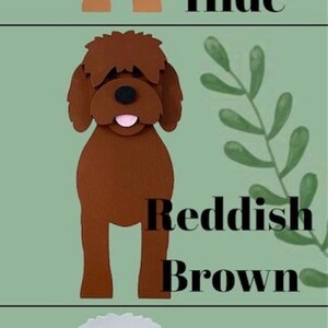 Golden Doodle Mini Wooden Succulent Flower Planter Box Small Desktop Model image 12