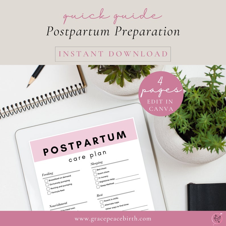 Postpartum Care Plan Quick Guide Postpartum Essentials Etsy