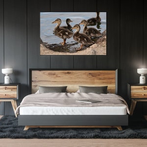 Ducklings Bird Photography Prints - Nature and Wildlife  Fine Art Print - Wall Art - Canvas, Photo, Metal, Acrylic - Interior Decor
