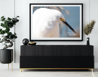 Retrato de garceta nívea: Impresión fotográfica de aves de bellas artes