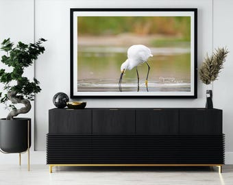 Impresión fotográfica de garceta nívea: decoración de pared de aves de bellas artes - Regalo para amantes de las aves