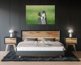 Black Phoebe Bird Photography Print - Nature Wildlife Wall Art