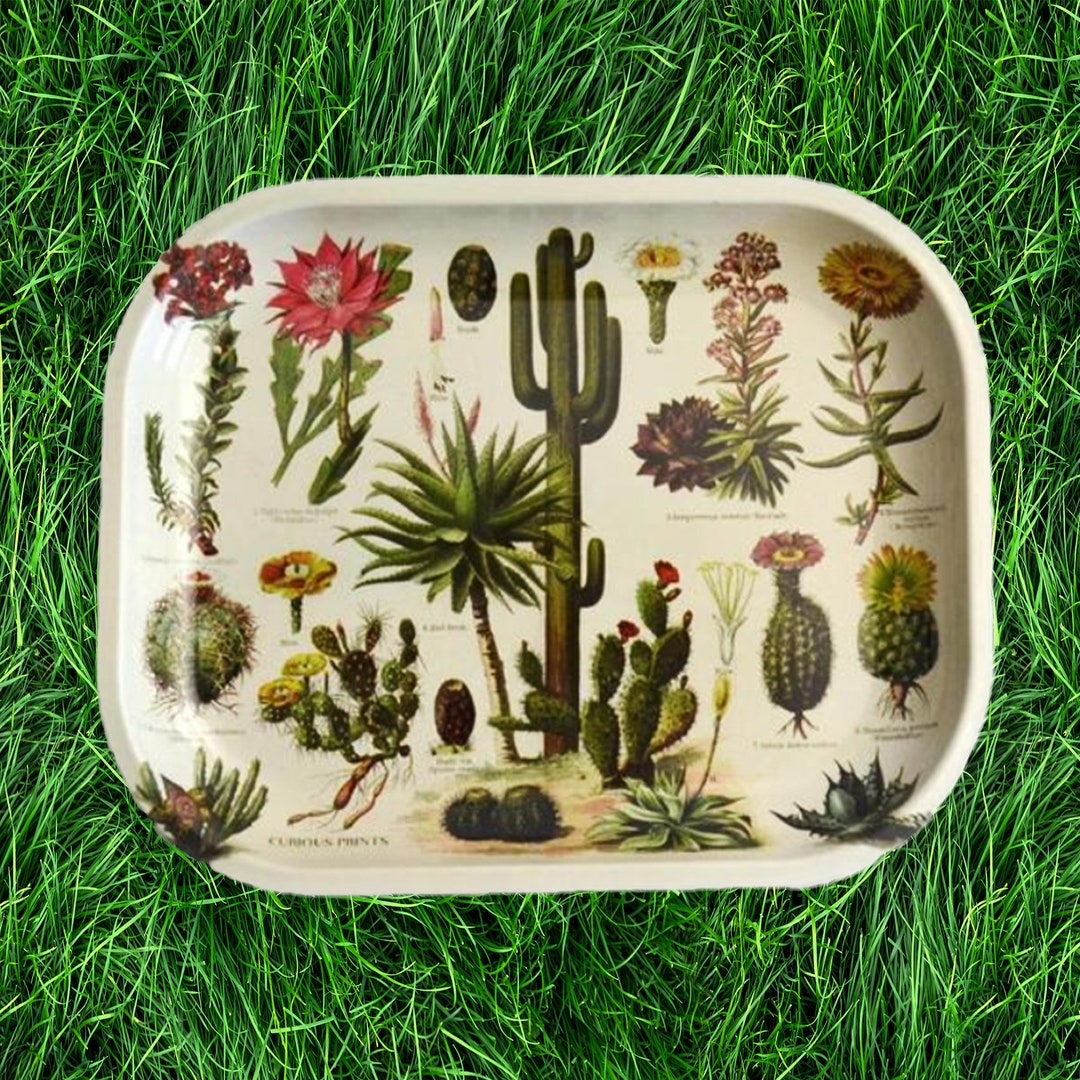 Aesthetic Rolling Tray Etsy