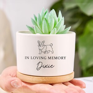 May include: A white ceramic planter with a corgi illustration and the text "IN LOVING MEMORY Dixie." The planter holds a green succulent and sits on a wooden saucer. A hand is holding the planter.