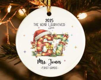 Funny The Year I Barely Survived 67 Ornament, Custom Teacher Christmas 67 Ornament, Teacher Christmas Gift