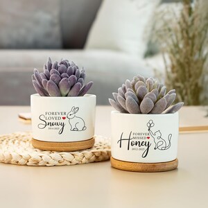 Personalized Pet Memorial Planter, Cat Loss Ceramic Plant Pot, Custom Rabbit Memorial Plant Pot, Loss of Dog Cat, Pet Sympathy Gift