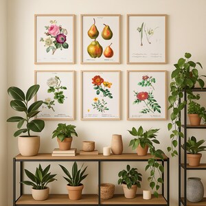 Botanische Wandkunst 6er Set | Digitale Drucke | Blumen & Grün | Natur Poster Bündel | Skandinavisches Dekor | Herunterladbar