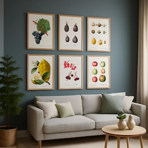 Lot de 6 affiches de fruits botaniques - raisins, figues, poires, citrons, cerises et pommes vintage, oeuvre d'art murale en téléchargement numérique pour la cuisine