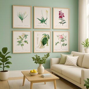 Lot de 6 impressions de fleurs botaniques - ensemble d'affiches vintage d'aloès, de narcisses, de roses et de plantes de jardin, art mural en téléchargement numérique