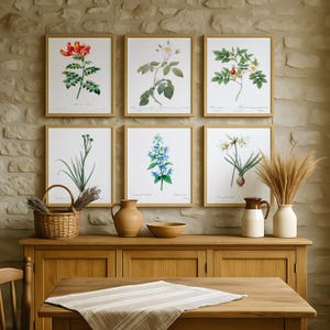 Set von 6 Botanische Blumendrucke - Vintage Wildrose, Korallebaum, Narzisse und rustikale Blüten, digitaler Download Wandkunst