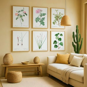 Set van 6 botanische prenten: vintage rozen, ui, linde, eetbare kruiden en bladplanten, digitale download kunst aan de muur